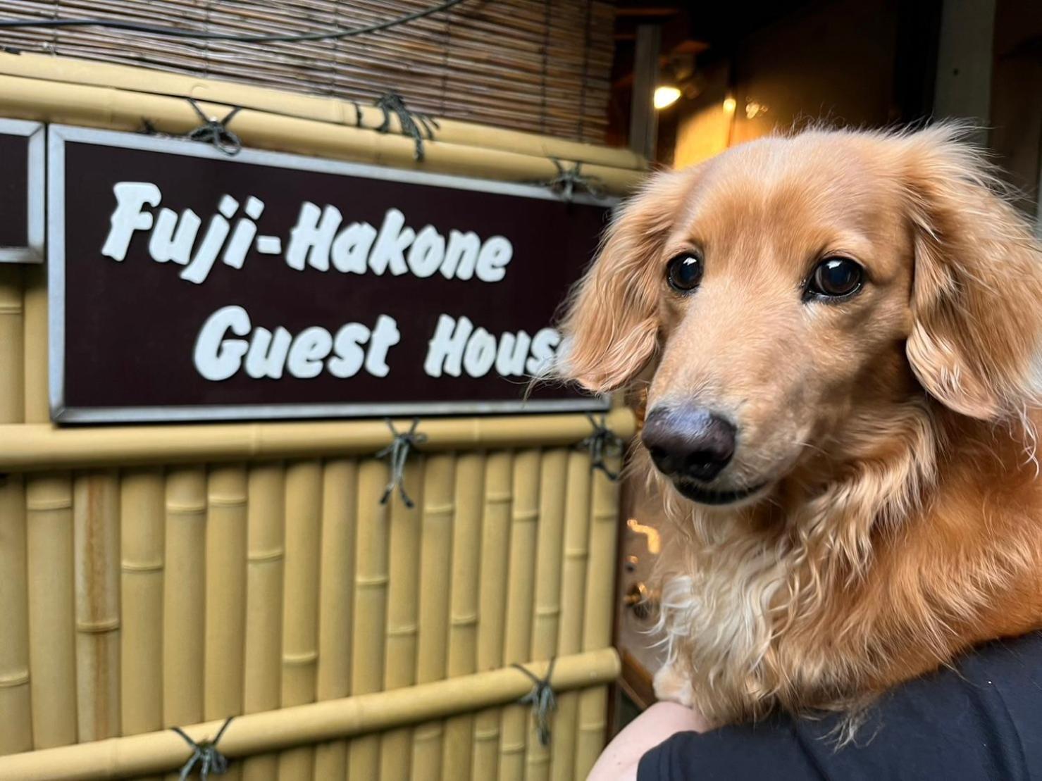 Fuji-Hakone Guest House Zewnętrze zdjęcie